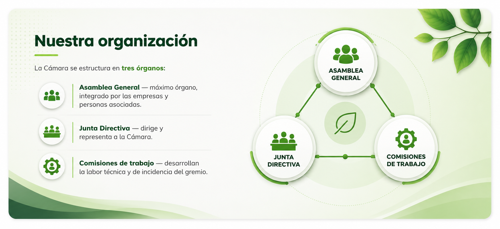 Nuestra organización - Cámara de Generación Distribuida